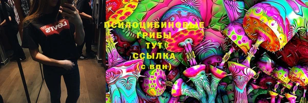 шишки Зерноград