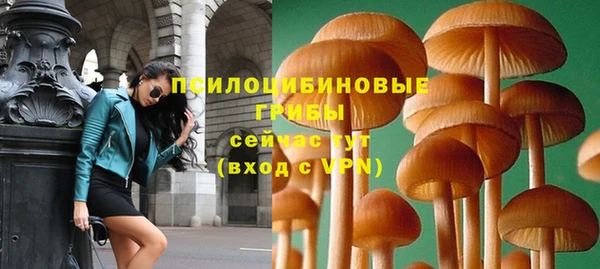 экстази Янаул