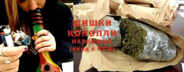 ГАЛЛЮЦИНОГЕННЫЕ ГРИБЫ Магас