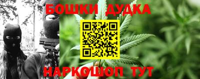 шишки Бузулук
