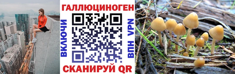 Галлюциногенные грибы мицелий наркошоп Кохма