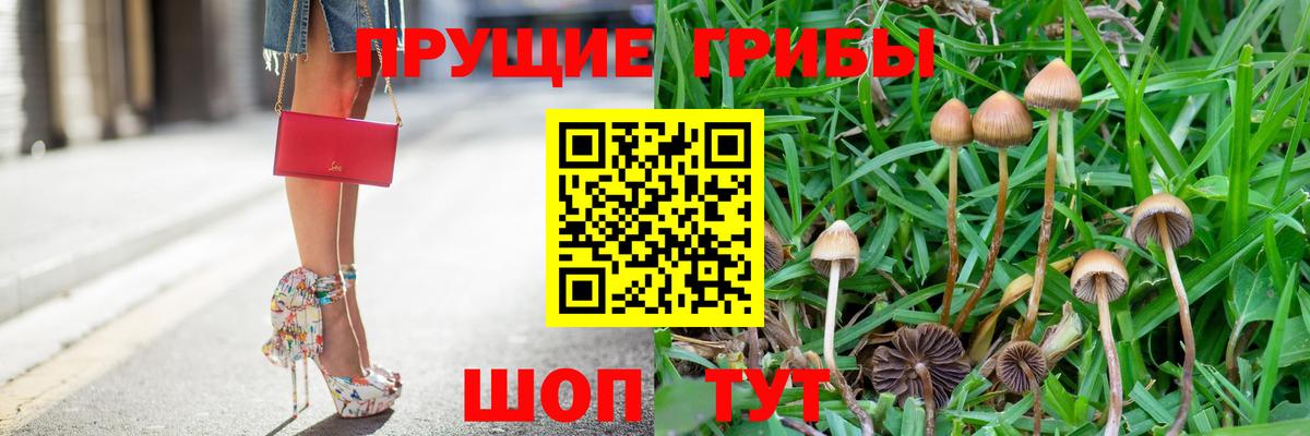 Галлюциногенные грибы Magic Shrooms Кохма